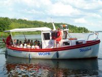 Klub_Plywacki_Delfin_Wloclawek01[1].jpg